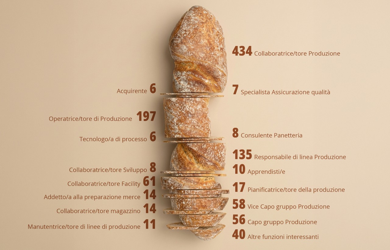 Foto Grafik Funktionslandschaft