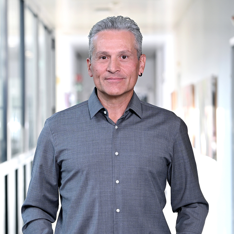 Foto Leiter Castione